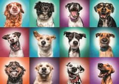 Trefl Puzzle Legrační portréty psů II, 2000 dílků