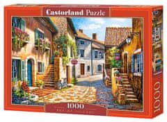 Castorland Puzzle Cesta ve vesnici 1000 dílků