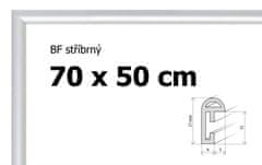 BFHM Plastový rám 70x50 - stříbrný