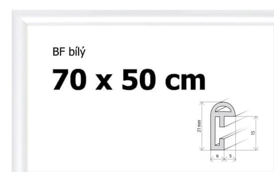 BFHM Plastový rám 70x50cm - bílý
