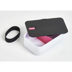 Zeller Lunchbox s přihrádkou, 19 x 12 x 6,5 cm, bílá + růžová vložka