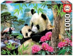 Educa Puzzle Panda s mládětem 1000 dílků