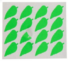 TWM štítky list 22 x 49 mm papír zelený 80 ks