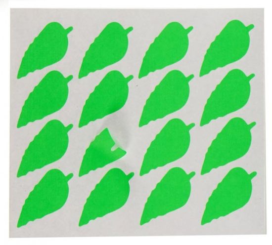 TWM štítky list 22 x 49 mm papír zelený 80 ks