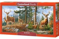 Castorland Puzzle Královská jelení rodina 4000 dílků