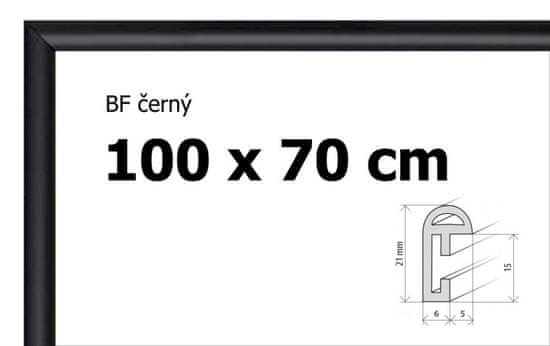 BFHM Plastový rám 100x70cm - černý