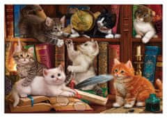 AnaTolian Puzzle Kočičky v knihovně 500 dílků