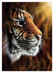 AnaTolian Puzzle Divoký tygr 1000 dílků