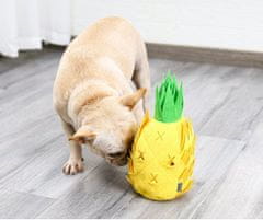 BiBi Doglemi Pet Products Ltd Ananas čichová hračka