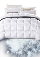 4sleep Luxusní polštář prachové peří SILVER Bílá / white 1600g 43/33/58 70x90