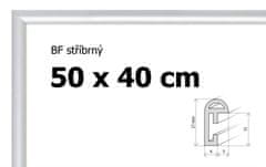 BFHM Plastový rám 50x40 - stříbrný