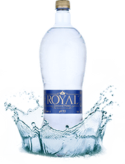 Royal Water Ionized Water Prémiová alkalická ionizovaná voda s pH 9,3 0,5 l