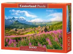 Castorland Puzzle Dolina Gąsienicowa, Tatry 1000 dílků