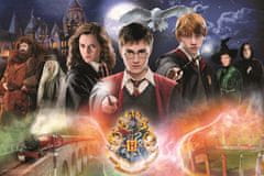Trefl Puzzle Tajemný Harry Potter 300 dílků