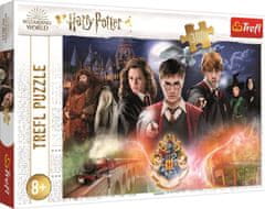 Trefl Puzzle Tajemný Harry Potter 300 dílků