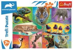 Trefl Puzzle Animal Planet: Svět exotických zvířat 200 dílků