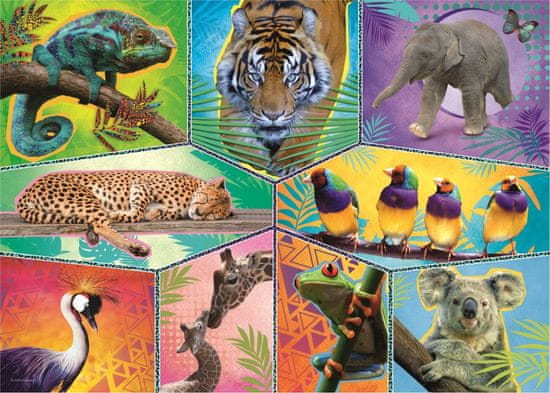 Puzzle 1000 pièces : animal planet : animaux exotiques Trefl