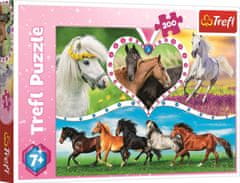Trefl Puzzle Krásní koně 200 dílků