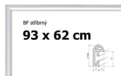 BFHM Plastový rám 93x62cm - stříbrný