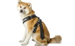 Bezpečnostní pás pro psy - "XL"