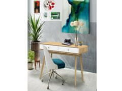 Danish Style Pracovní stůl Calin, 120 cm, bílá / dub