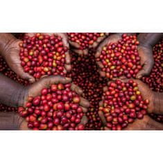 COFFEEDREAM Káva UGANDA ZESUI WOMEN - Hmotnost: 100g, Typ kávy: Zrnková, Způsob balení: běžný třívrstvý sáček, Stupeň pražení: pražení na FILTR ( světlé )