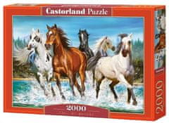 Castorland Puzzle Volání přírody 2000 dílků