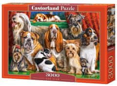 Castorland Puzzle Psí klub 3000 dílků