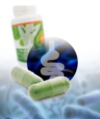 Kvalitní život.com Moringa z TENERIFE + probiotikum Bacillus subtilis DSM 21097, kapsle 90 ks
