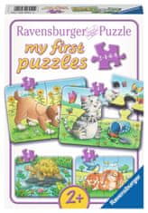 Ravensburger Moje první puzzle Domácí mazlíčci 4v1 (2,4,6,8 dílků)