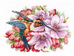 Kraftika Obraz vyšívaný křížkovým stehem - kolibřík