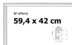 BFHM Plastový rám 59,4x42cm A2 - stříbrný