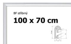 BFHM Plastový rám 100x70cm - stříbrný