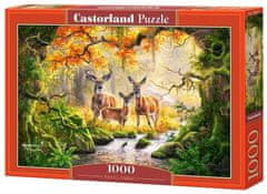Castorland Puzzle Královská rodina 1000 dílků