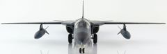 Hobby Master General Dynamics F-111C, RAAF, Tindal, Listopad, 1999, 1/72