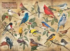 Cobble Hill Puzzle Oblíbení divocí ptáci z dvorků Severní Ameriky 1000 dílků