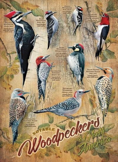 Cobble Hill Puzzle Pozoruhodní datlovití ptáci 500 dílků