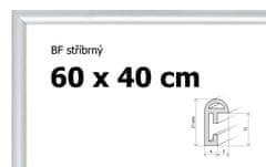 BFHM Plastový rám 60x40cm - stříbrný