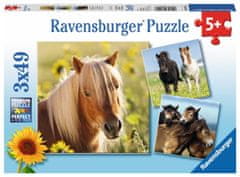 Ravensburger Puzzle Poníci 3x49 dílků