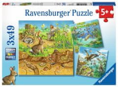 Ravensburger Puzzle Zvířátka ve svých domovech 3x49 dílků