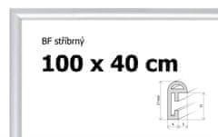 BFHM Plastový rám 100x40cm - stříbrný