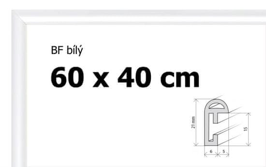 BFHM Plastový rám 60x40cm - bílý