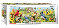 EuroGraphics Panoramatické puzzle Zahradní ptáci 1000 dílků