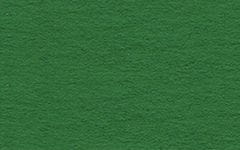 Duhová planeta Fotokarton zelený A4 tmavý jedlový Množství: 100 ks