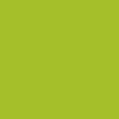 Duhová planeta Karton zelený tropický A4 Množství: 100 ks