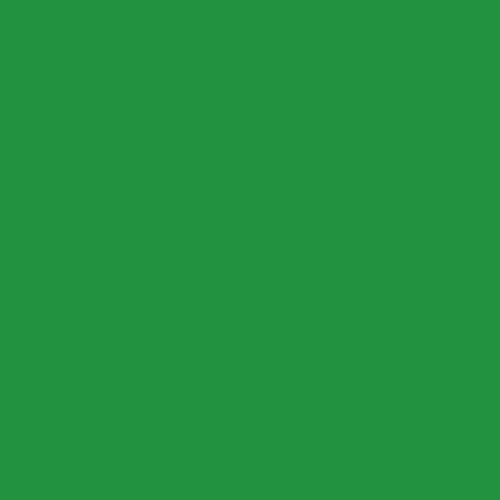 Duhová planeta Papír jedlově zelený A4 Množství: balení/10 ks