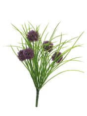 C7.cz Česnek okrasný - Allium x3 fialová s trávou 39 cm