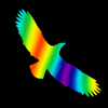 Traiva Silueta dravce z holografické fólie Fantasy rainbow, proti narážení ptáků do skla Silueta dravce z holografické folie Fantasy rainbow (166 x 404 mm tl. 0,065 mm) - kód: 24605