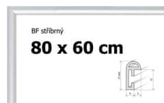BFHM Plastový rám 80x60cm - stříbrný