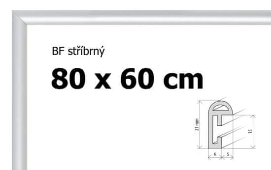 BFHM Plastový rám 80x60cm - stříbrný